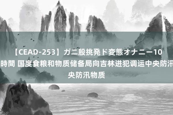 【CEAD-253】ガニ股挑発ド変態オナニー100人8時間 国度食粮和物质储备局向吉林进犯调运中央防汛物质