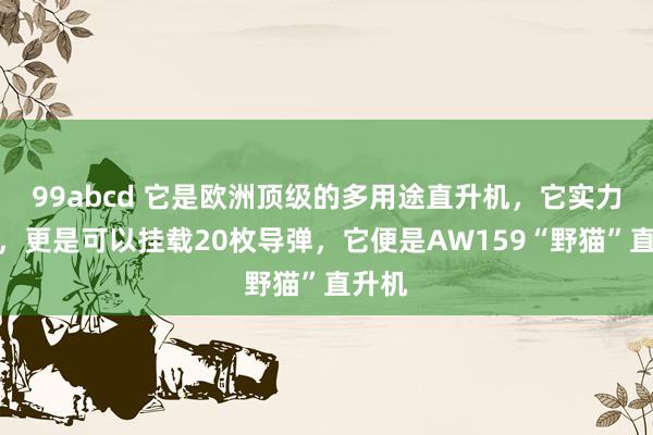 99abcd 它是欧洲顶级的多用途直升机，它实力轶群，更是可以挂载20枚导弹，它便是AW159“野猫”直升机