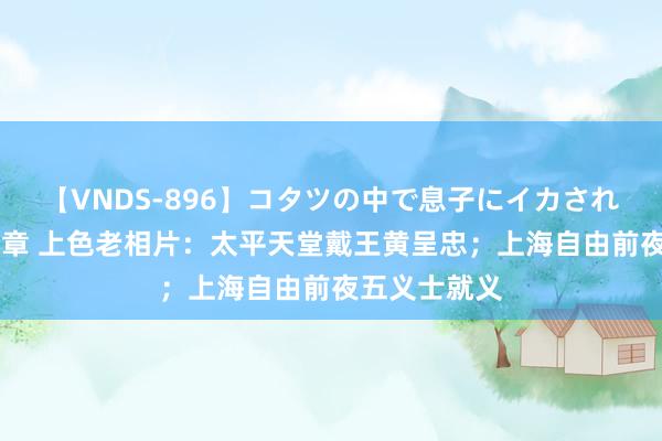 【VNDS-896】コタツの中で息子にイカされる義母 第二章 上色老相片：太平天堂戴王黄呈忠；上海自由前夜五义士就义