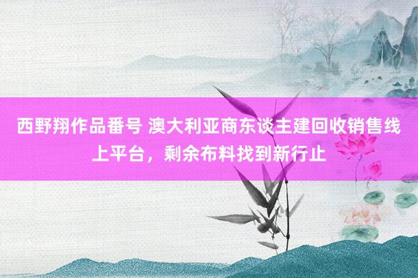 西野翔作品番号 澳大利亚商东谈主建回收销售线上平台，剩余布料找到新行止