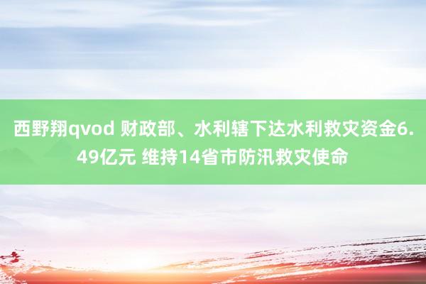 西野翔qvod 财政部、水利辖下达水利救灾资金6.49亿元 维持14省市防汛救灾使命