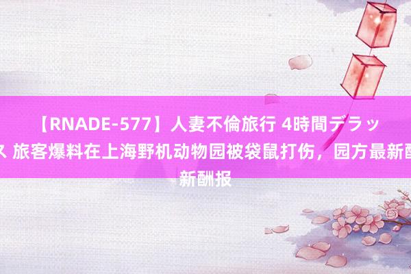 【RNADE-577】人妻不倫旅行 4時間デラックス 旅客爆料在上海野机动物园被袋鼠打伤，园方最新酬报