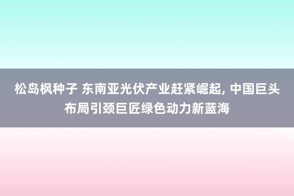 松岛枫种子 东南亚光伏产业赶紧崛起, 中国巨头布局引颈巨匠绿色动力新蓝海