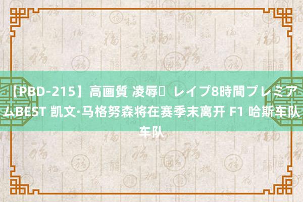 【PBD-215】高画質 凌辱・レイプ8時間プレミアムBEST 凯文·马格努森将在赛季末离开 F1 哈斯车队