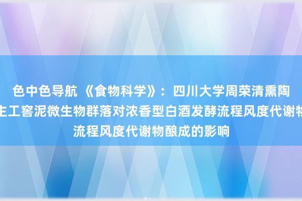 色中色导航 《食物科学》：四川大学周荣清熏陶等：东说念主工窖泥微生物群落对浓香型白酒发酵流程风度代谢物酿成的影响