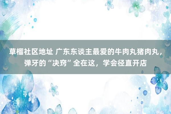 草榴社区地址 广东东谈主最爱的牛肉丸猪肉丸，弹牙的“决窍”全在这，学会径直开店