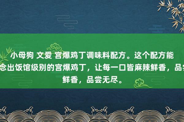 小母狗 文爱 宫爆鸡丁调味料配方。这个配方能帮你作念出饭馆级别的宫爆鸡丁，让每一口皆麻辣鲜香，品尝无尽。