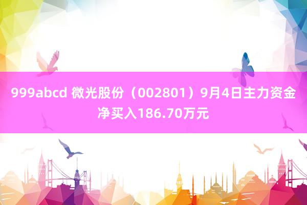 999abcd 微光股份（002801）9月4日主力资金净买入186.70万元