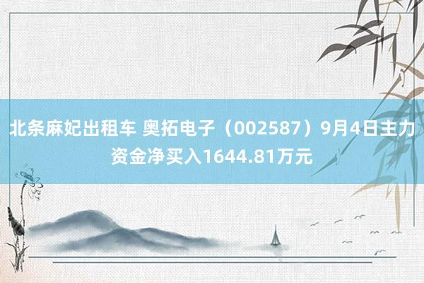 北条麻妃出租车 奥拓电子（002587）9月4日主力资金净买入1644.81万元