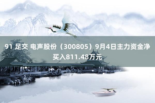 91 足交 电声股份（300805）9月4日主力资金净买入811.48万元