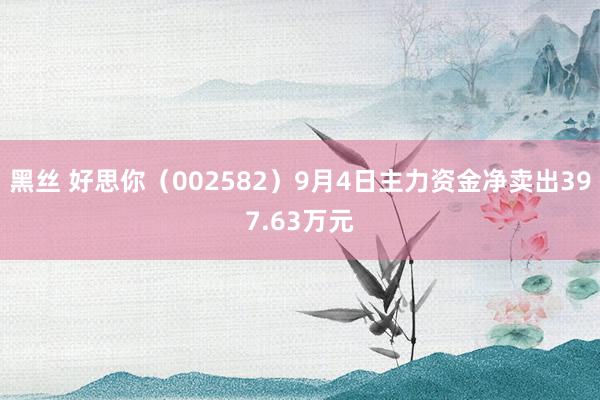 黑丝 好思你（002582）9月4日主力资金净卖出397.63万元