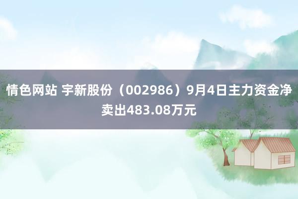 情色网站 宇新股份（002986）9月4日主力资金净卖出483.08万元