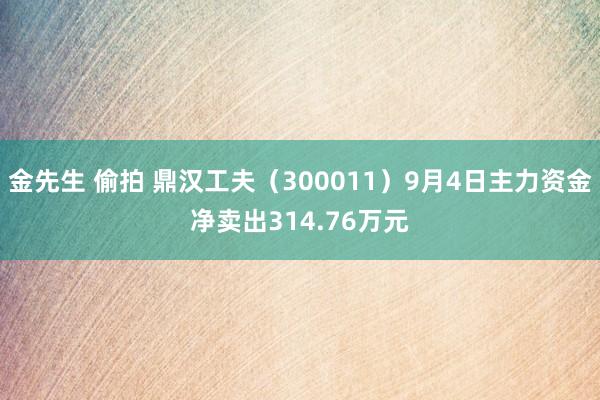 金先生 偷拍 鼎汉工夫（300011）9月4日主力资金净卖出314.76万元