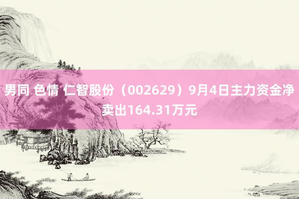 男同 色情 仁智股份（002629）9月4日主力资金净卖出164.31万元