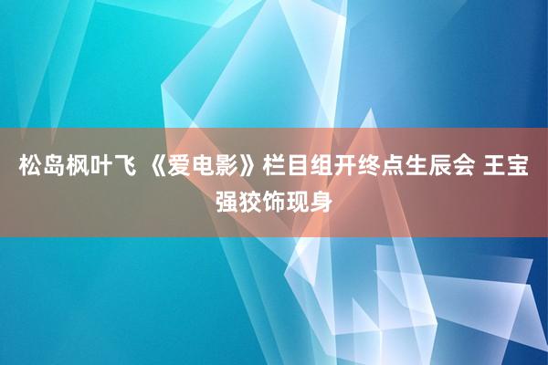 松岛枫叶飞 《爱电影》栏目组开终点生辰会 王宝强狡饰现身