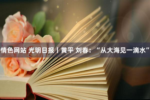 情色网站 光明日报丨黄平 刘春：“从大海见一滴水”