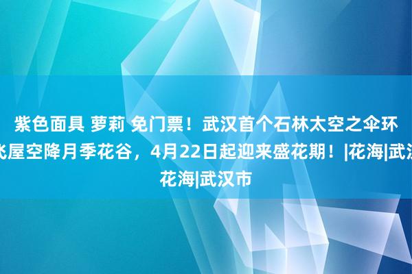 紫色面具 萝莉 免门票！武汉首个石林太空之伞环球飞屋空降月季花谷，4月22日起迎来盛花期！|花海|武汉市